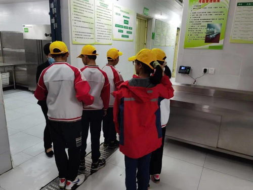 校多部門聯合檢查，提升餐飲服務質量